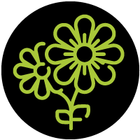liberty-blooms-about-icon-1